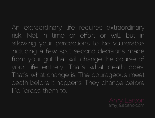 perception-extraordinary-life-will-effort-time-decisions-death-life-change-courage-amyjalapeno-dailyhotquote-amy-larson
